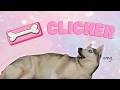 Dog Clickers - Beginner Guide on How to Use Them