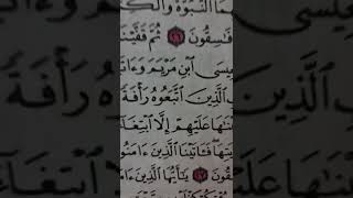 ماهو الحكم ؟