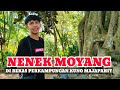 VIRAL !!! WARGA TEMUKAN BATU DUDUK NENEK MOYANG DI BEKAS PERKAMPUNGAN KUNO MAJAPAHIT ?!