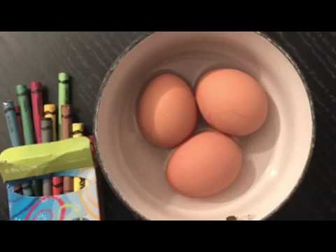 Βίντεο: Πώς μοιάζει ένα έμβρυο με ένα αυγό
