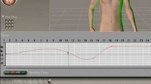 How to Use the Poser Software Interface : How to Animate Figures With Poser Software