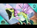 I Tamed a Beautiful Spring Drakeling for the First Time! | ARK: Ragnarok [E6]