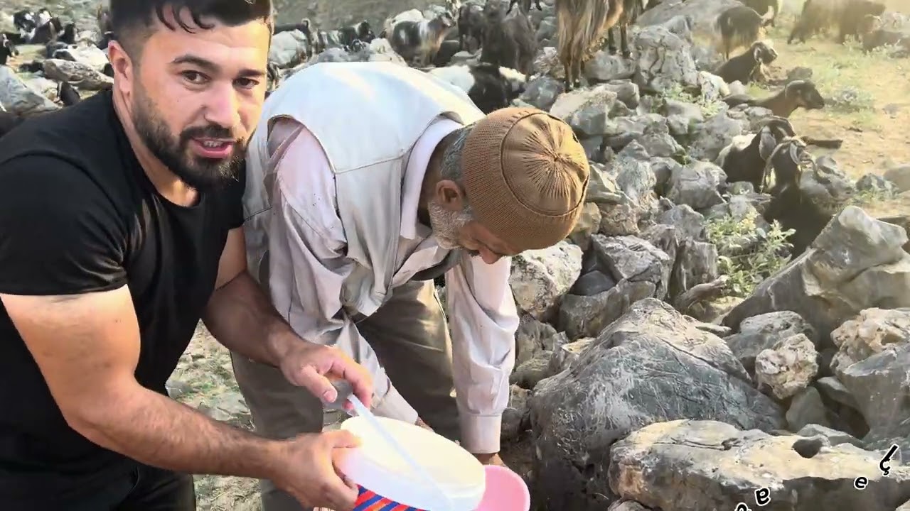 Bitlis Hizan Karbastı (Qursinc) köyü günlük köy yaşam - köy belgeseli (gundê Sermêt) #karbastıköyü