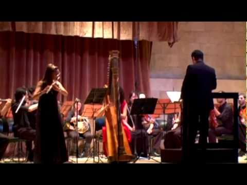 Mozart - Concierto para Flauta y Arpa K.299 - I. A...