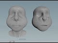 Pop Up Live Stream on Updates on Lip Sync HDA & Finishing up Head Generator HDA