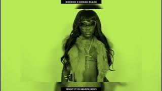 Download lagu 𝐃𝐨𝐞𝐜𝐡𝐢𝐢 𝐱 𝐊𝐨𝐝𝐚𝐤 𝐁𝐥𝐚𝐜𝐤 | 𝐖𝐡𝐚𝐭 𝐈𝐭 𝐈𝐬 (𝐁𝐥𝐨𝐜𝐤 𝐁𝐨𝐲) [𝐒𝐥𝐨𝐰𝐞𝐝 & 𝐑𝐞𝐯𝐞𝐫𝐛𝐞𝐝]