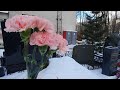 100 лет Гелене Великановой !!! Помним 🙏  Ландыши / Ваганьковское кладбище  2023