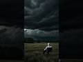 Abdullah damla muruzalari #trend #video