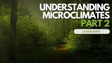 Understanding Microclimates In Your Garden PART 2