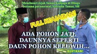 Download Lagu Menelusuri Jejak Sunan Kalijaga di Dlingo: Potensi Wisata Religi yang Terlupakan. MP3 Download Lagu Menelusuri Jejak Sunan Kalijaga di Dlingo: Potensi Wisata Religi yang Terlupakan. MP3