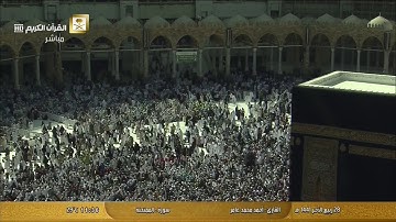 سورة الممتحنة بصوت القارئ أحمد محمد عامر