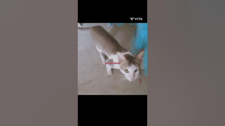 Thand Se Mazaak nahi 😂-#funnyvideo #funny #shorts
