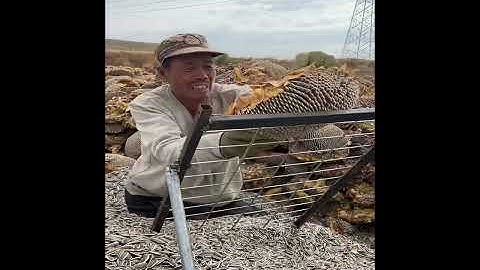 Extremely Fast & Devious Work Skills, Most Satisfying Factory Machines & Ingenious Tools