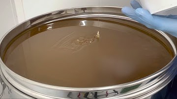 Spring Honey going into settling tank