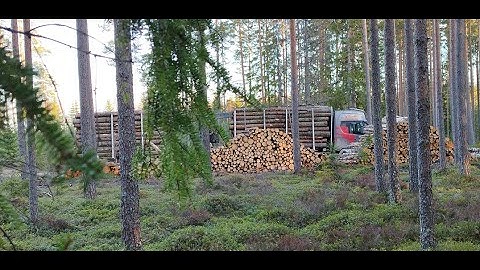 Loading Spruce