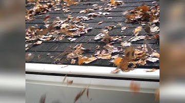 02 - Revenge of The Squirrels HD Gutter Depot Leafguard