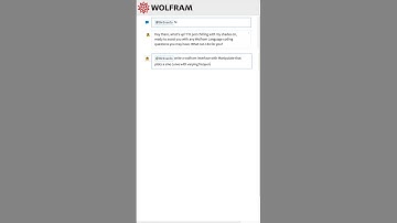 Birdnardo helping me code in the Wolfram Language, with ChatGPT