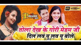 Tola Dekh Ke Gori Madam Ji Dil Love You Love You Bole Cg Dj Song | Dj Parihar Seoni