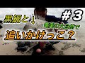 ＃3【奄美大島】黒鯛と鬼ごっこしてきた。flyfishing ３日目