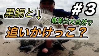 ＃3【奄美大島】黒鯛と鬼ごっこしてきた。flyfishing ３日目