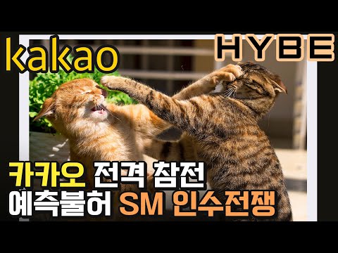 반전의 반전의 반전 카카오냐 하이브냐 SM 인수 전쟁 