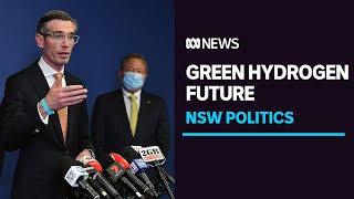 NSW unveils $3b green hydrogen blueprint, backed by Andrew Forrest | ABC News
