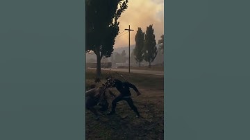 State Of Decay 2 Sword Zombie Kills