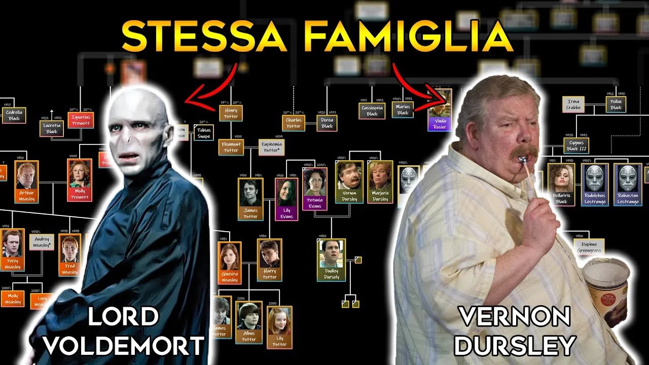 Come TUTTI i personaggi di HARRY POTTER sono IMPARENTATI | Tutti gli alberi genealogici SPIEGATI
