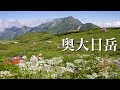【夫婦登山】お花いっぱい夏の立山|花の百名山!奥大日岳|立山1泊2日の旅①