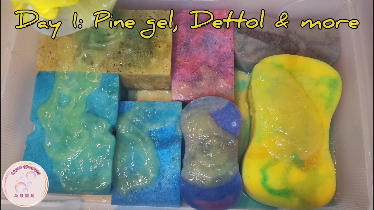 Day 1♻️ 💛Pine gel, Dettol, Toilet duck, Laundry powder☁️Suds overload☁️🫧Fabric softener
