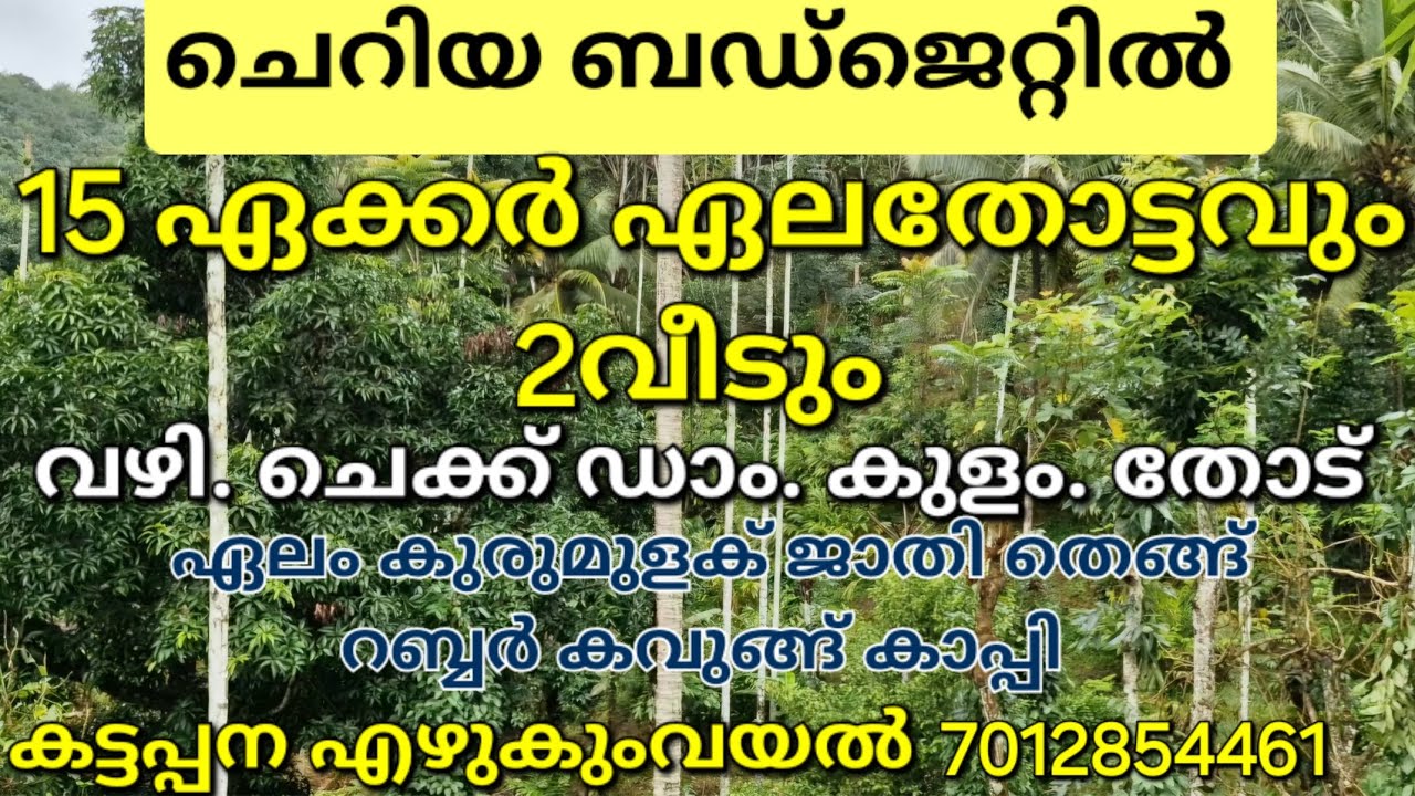ചെറിയ ബഡ്‌ജറ്റിൽ 15ഏക്കർ ഏലതോട്ടവും 2വീടും.നല്ല ആദയമുള്ള സ്ഥലം ആണിത്. ചെക്ക് ഡാം കുളം തോട് 👇കട്ടപ്പന