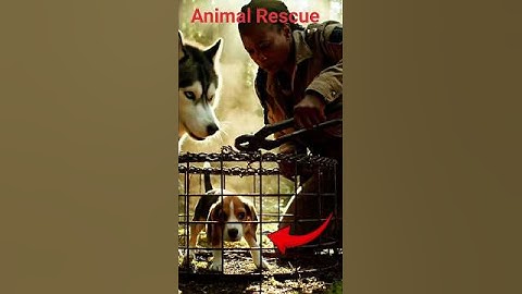 Dog saves his pup|#dogs #rescue #animals #shorts
