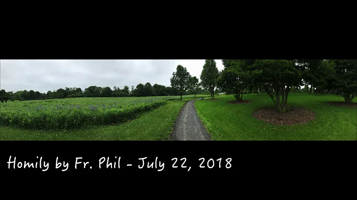 Homily by Fr Phil Horrigan - July 22, 2018
