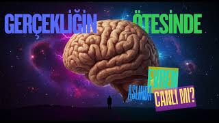 Gerçekliğin Ötesinde Evren Aslında Bir Canlı Mı?