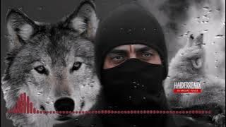 موسيقى الاختطاف وادي الذئاب روووعه