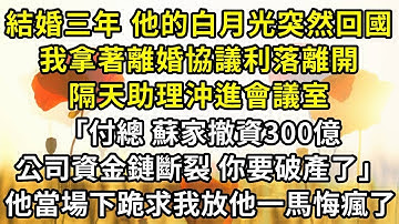 結婚三年 他的白月光突然回國，我拿著離婚協議利落離開，隔天助理沖進會議室，「付總 蘇家撤資300億，公司資金鏈斷裂 你要破產了」，他當場下跪求我放他一馬悔瘋了