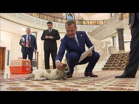 Дмитрию Медведеву подарили щенка