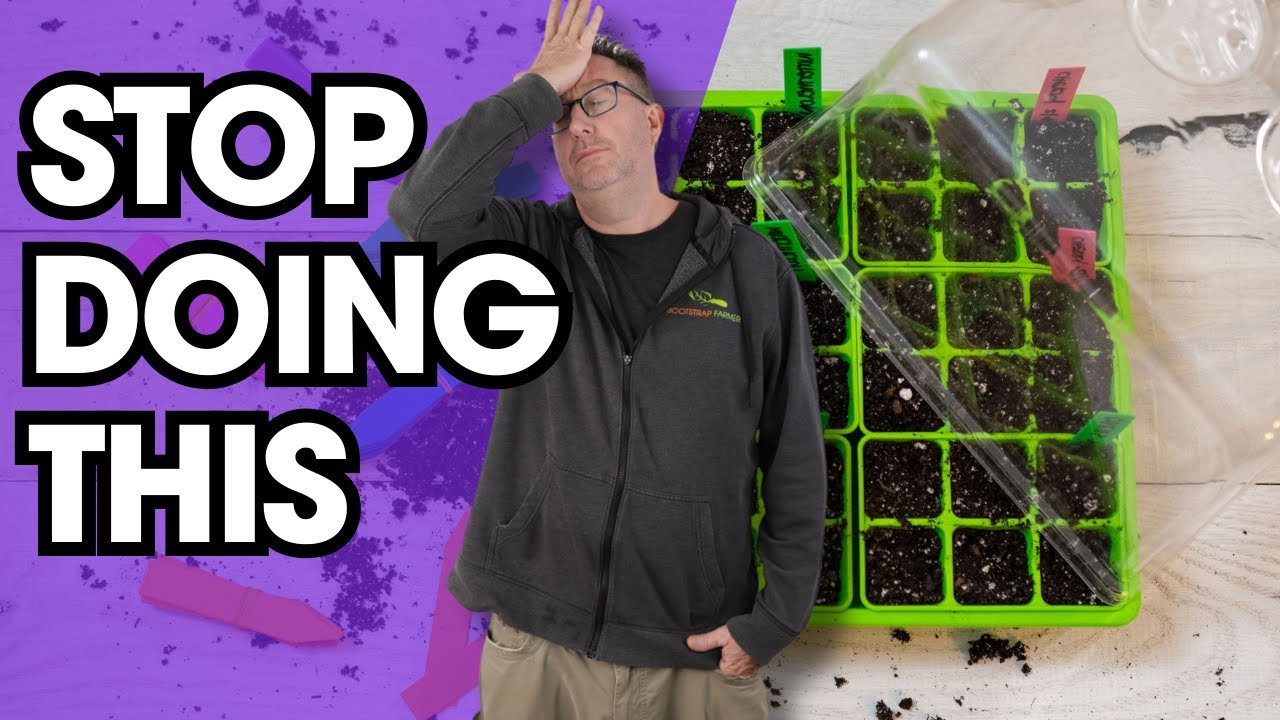 7 Mistakes Beginners Make When Starting Seeds