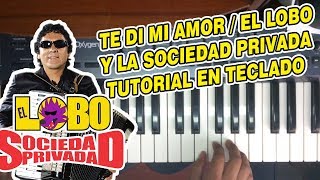 Video thumbnail of "TE DI MI AMOR - EL LOBO Y LA SOCIEDAD PRIVADA (TUTORIAL EN TECLADO)"