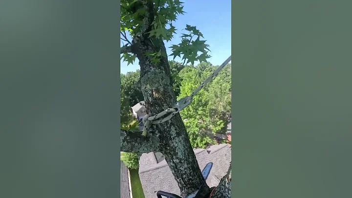 Insanely Satisfying Tree Cutting with Chainsaw #219