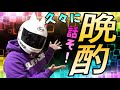 【ライブ】2023年初晩酌しましょう！ねこかずが新しく買うバイクも決めよう！！