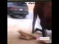 ساهر