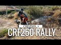 CRF250L + CRF250 Rally | Riding With Cactuses