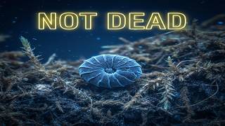 The Secret To Hibernating For Centuries Revealed