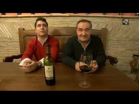 Bodegas Valdovinos S L