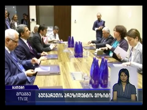 თინა ხიდაშელი ბულგარეთის პრეზიდენტს შეხვდა