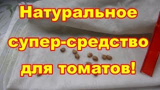 Обработка семян это залог хорошего урожая! Обработка семян это залог хорошего урожая!