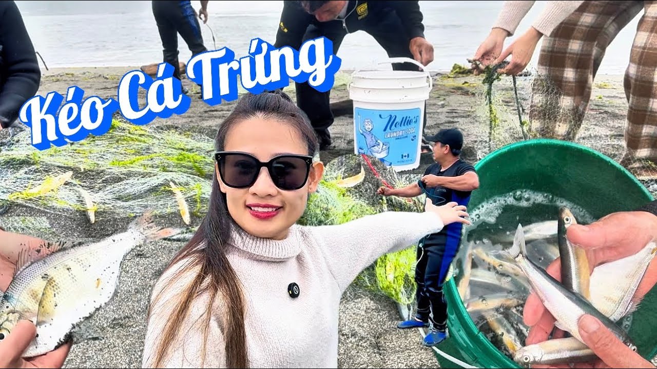 Kéo Cá Trứng | Ngủ Trên Xe Nhà Di Động 🚚 Tự Nấu Ăn Trong Rừng Hoang 