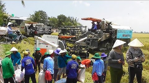 ba máy cắt 105 cắt lúa ô em 18 không cần người hứng giá lúa bán 6900₫K tập88 # maibangtv