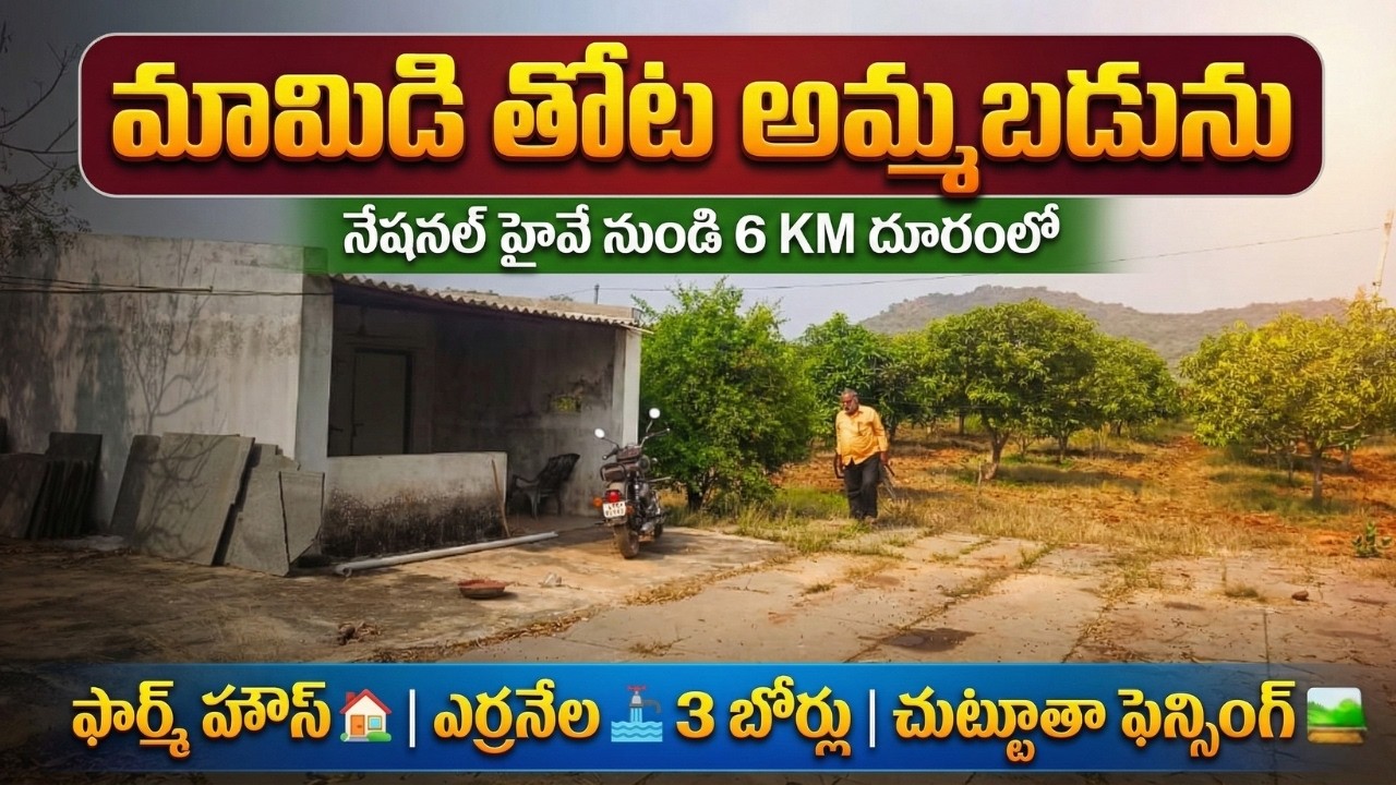 మంచి ఇన్వెస్ట్‌మెంట్ అవకాశంతో రెడీగా ఉన్న మామిడి తోట |EstateGuruAman